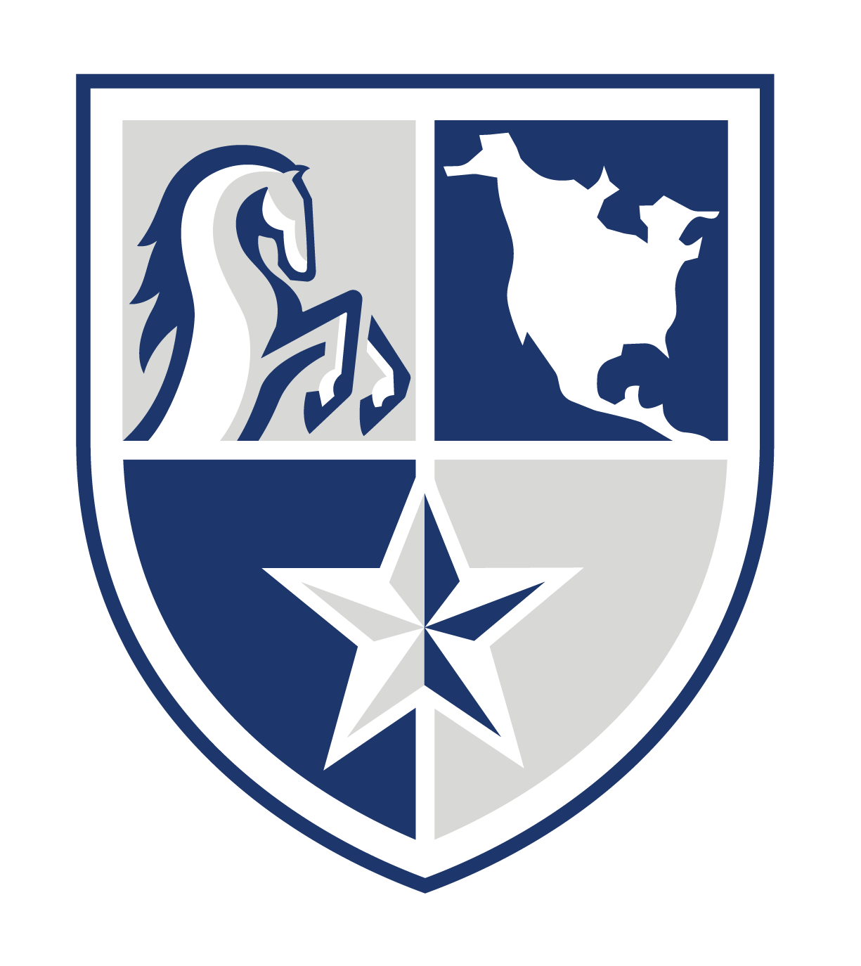 North American University