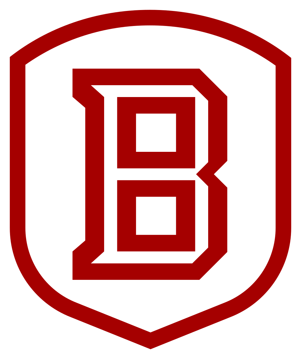 Bradley University