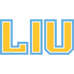 Long Island University