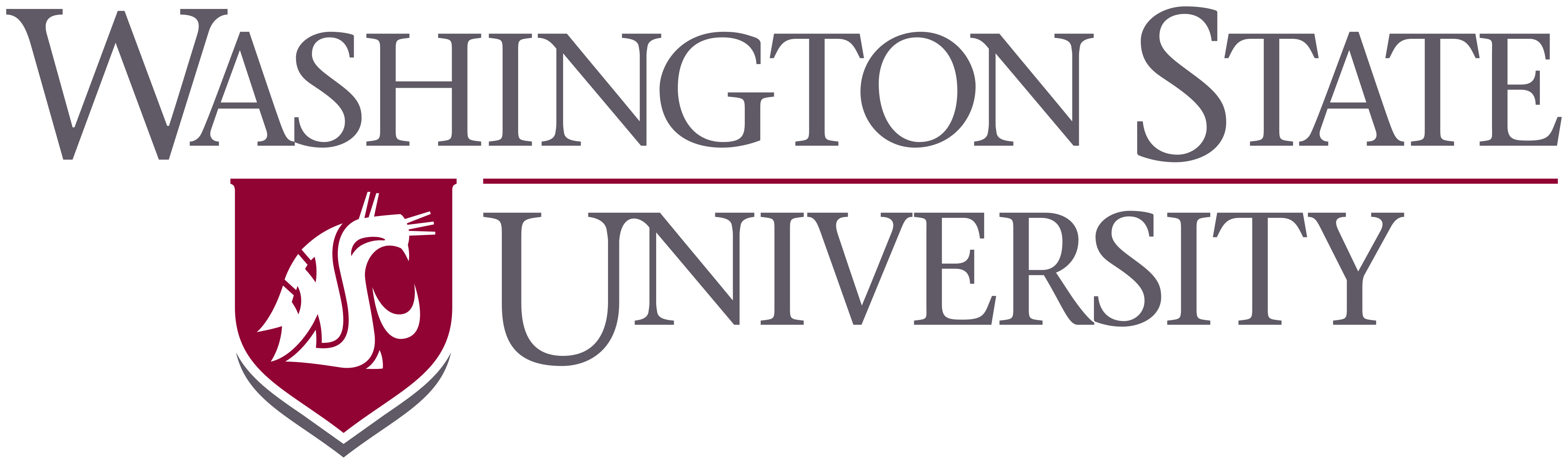 Washington State University
